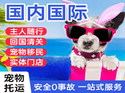 满洲里机场空运国际宠物托运 【国
